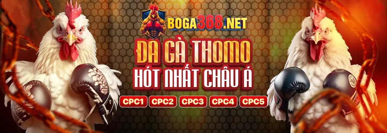 Bàn Baccarat Trực Tuyến keo m88