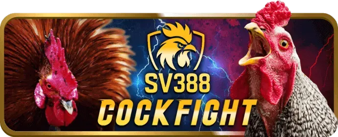 Sic Bo và Dragon Tiger Trực Tuyến keo m88