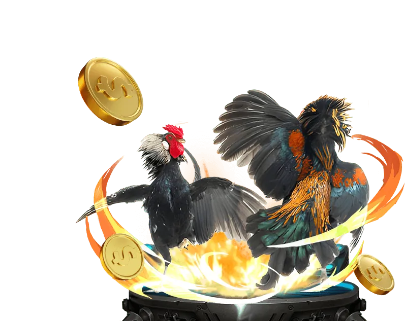 Giấy phép hoạt động M88